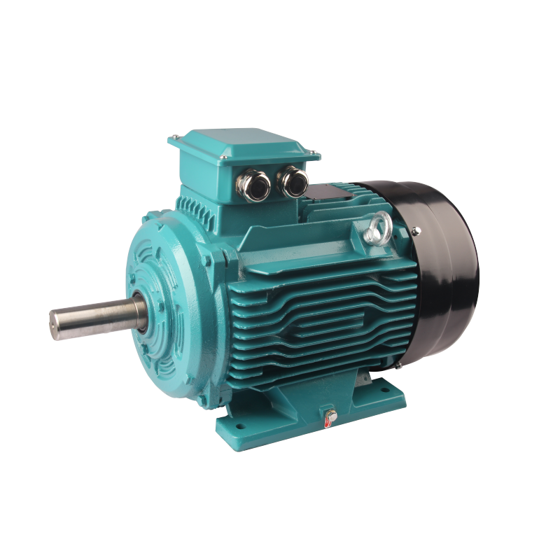 FL3(IE3) series premium efficiency three phase asynchronous AC motor